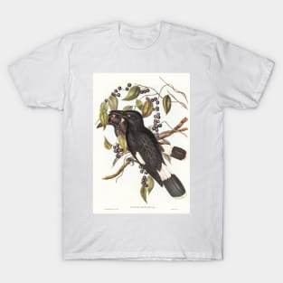 Great Crow-Shrike T-Shirt